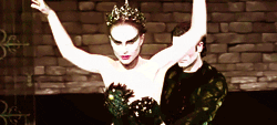 black swan