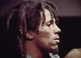 Bob Marley And The Wailers Reggae GIF by Bob Marley