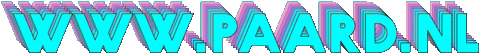 Paard Den Haag Sticker