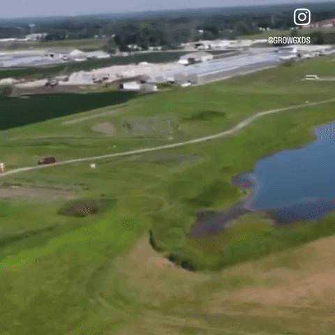 Agriculture Grow GIF
