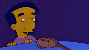 Simpsons GIF
