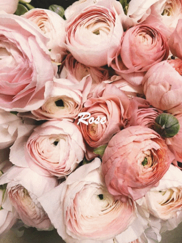 Rosewater Facemist GIF