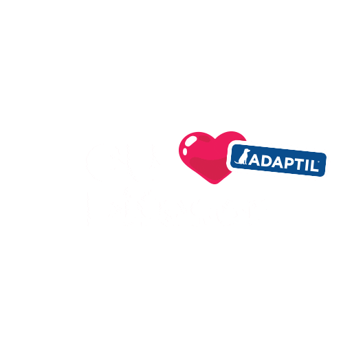 Ceva Brasil Sticker