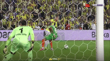 Dusan Tadic Kadıköy GIF by Fenerbahçe