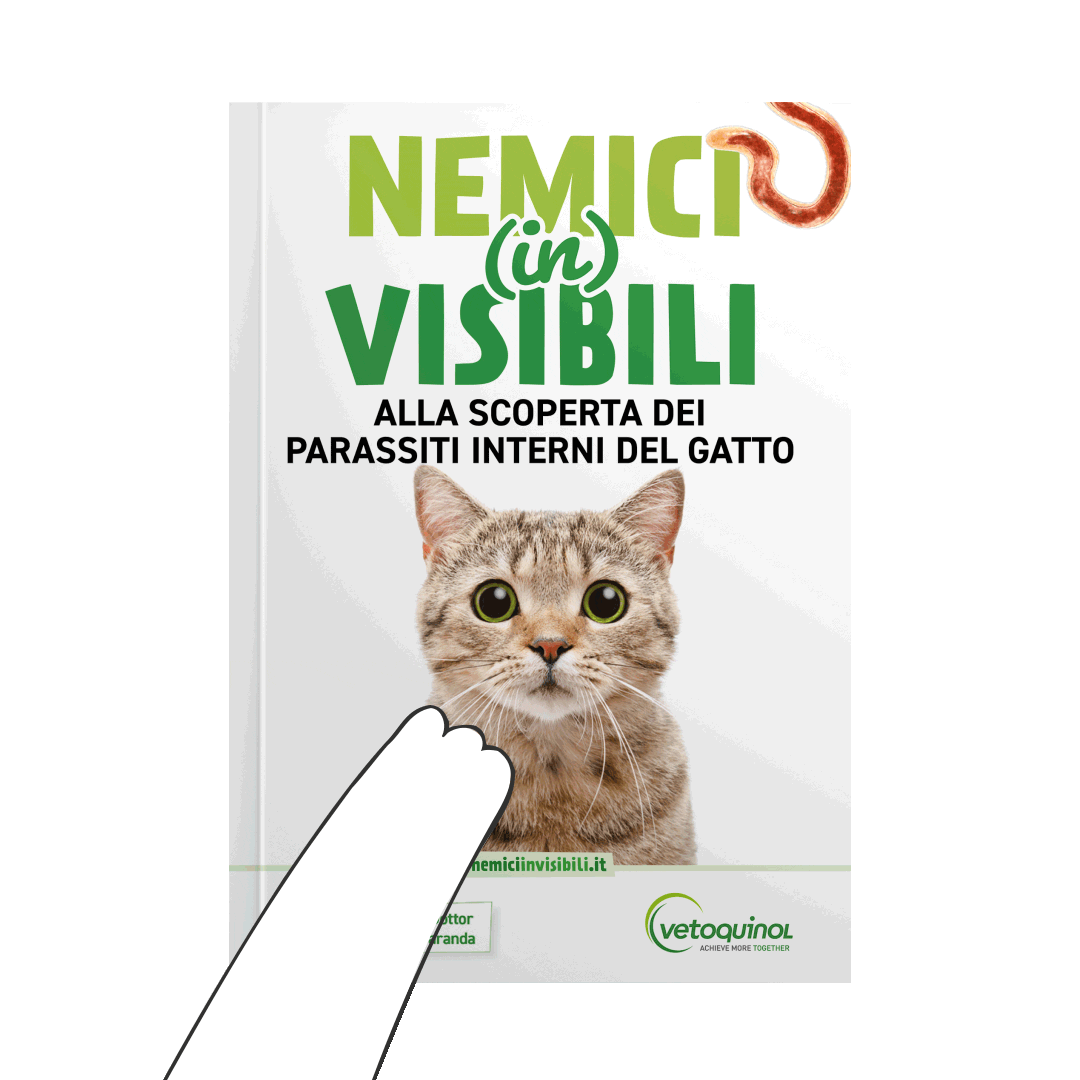 Nemici Invisibili dei pets Sticker