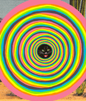 psychedelic cat GIF by Scorpion Dagger