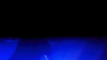 Mad Party GIF