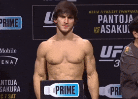 Ufc GIF