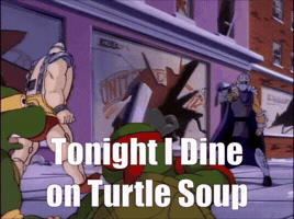 Turtle Soup Tmnt GIF