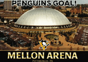 Nhl Winter Classic Pittsburgh Penguins Pittsbiurgh Winter Classic GIF