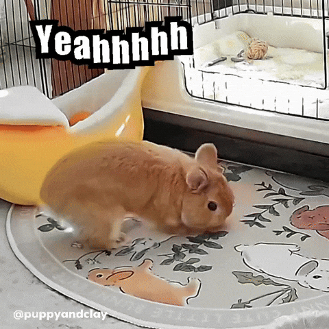 Yeahhhhh GIF