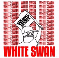 White Swan GIF