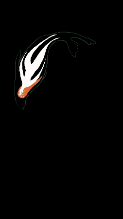 Illustration Swimming GIF