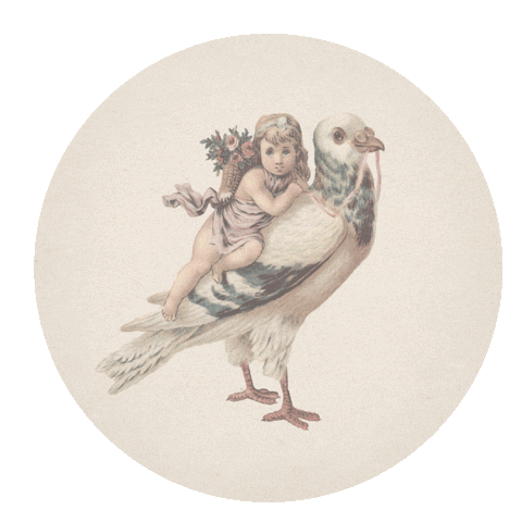 Someday Jacob Sticker