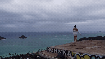 Ocean Hawaii GIF by BASSBABE