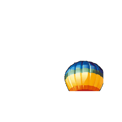 Tersteegeballonfestival Sticker by Ballonfestival Hardenberg