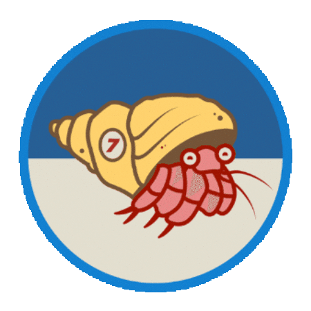 Hermit Crab Sticker by Skallywag Media