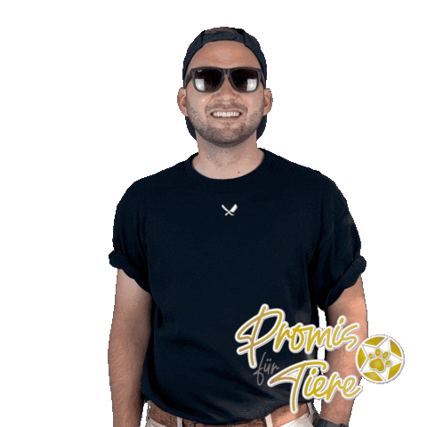 Promis für Tiere Sticker