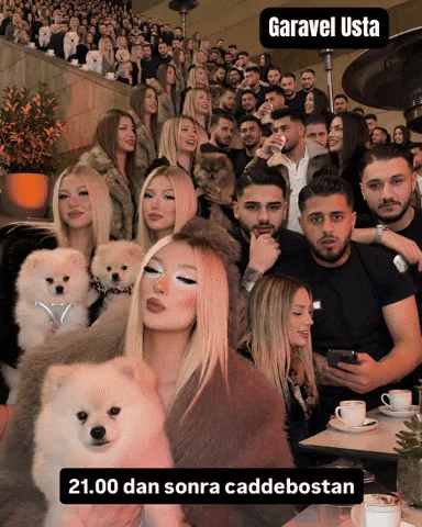 Garavel Usta GIF