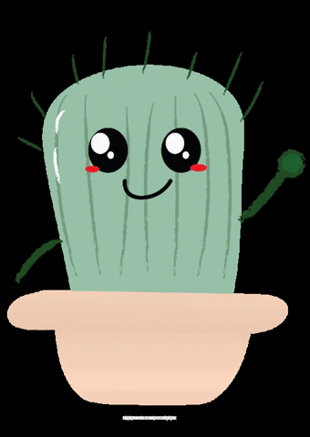 Doowdlewithcactee GIF
