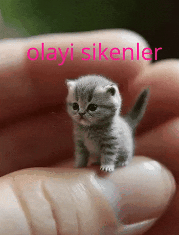 Olay Sik GIF