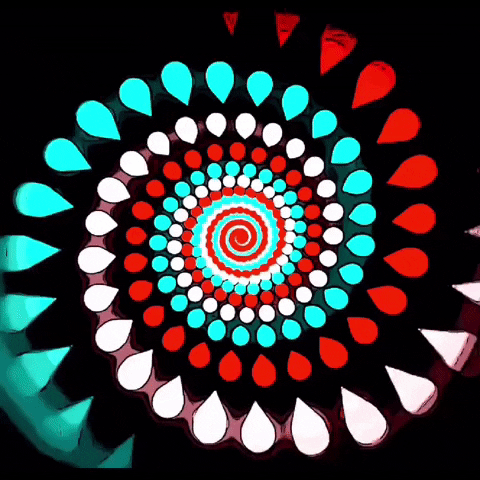 Animation Spinning GIF by The3Flamingos