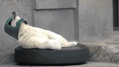 source.gif