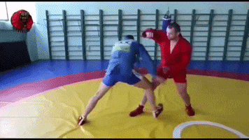 Animated GIF