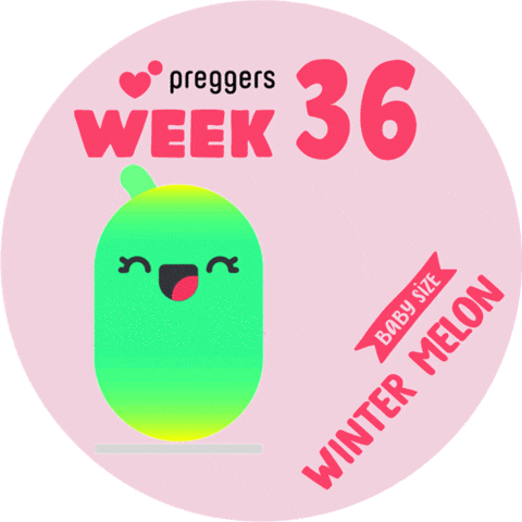 Baby Pregnancy Sticker by Preggers