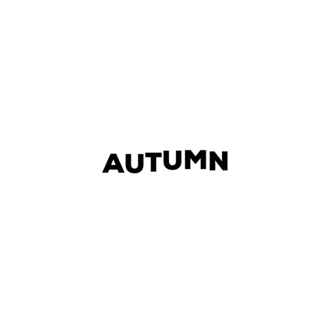 CromosApp autumn app palette armocromia GIF