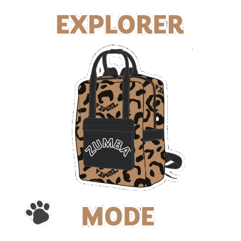 Zumba Wear Europe Sticker