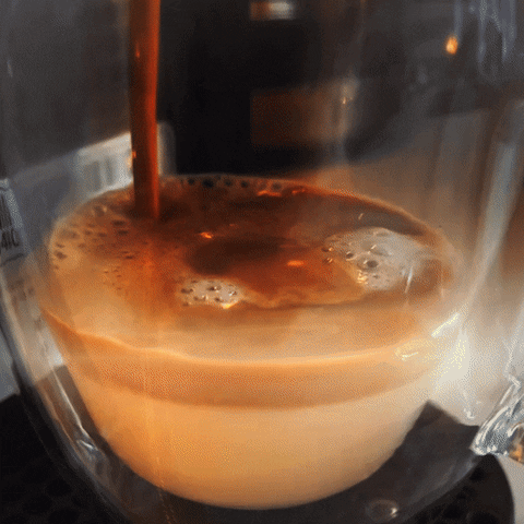 Good Morning Coffee GIF by 522 Productions