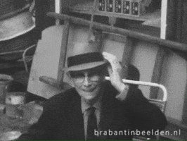 Hoedje GIF by BrabantinBeelden