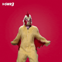 Well Done Wow GIF by SWR3