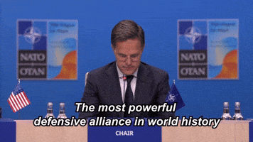 Strongertogether Otan GIF by NATO