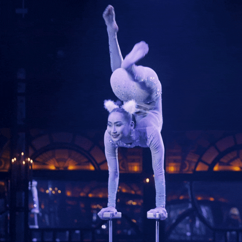 Teatro ZinZanni GIF