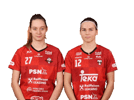 Floorball Salibandy Sticker by Tatran Stresovice