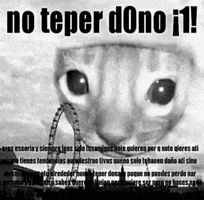 Note Perdono GIF