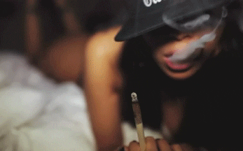 marijuana cannabis GIF