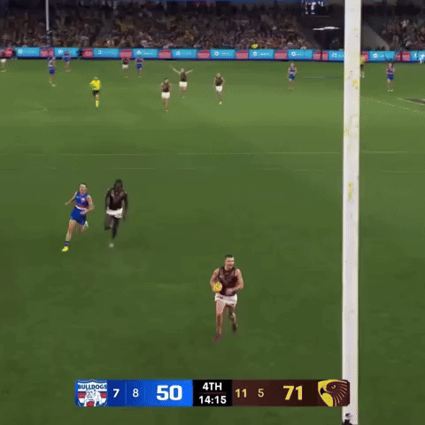 Hawthorn Hawks GIF