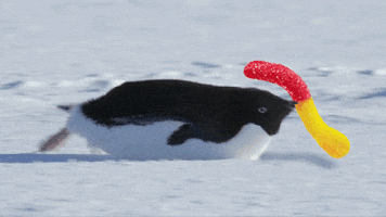 penguin sour brite crawlers GIF by Trolli