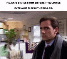 Seneca GIF