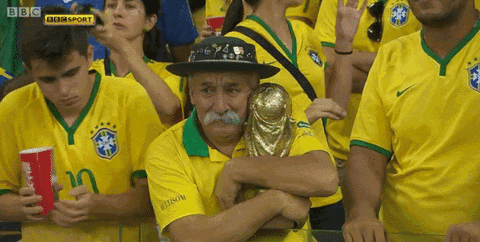 Brazil Germany Soccer GIF - Find & Share on GIPHY