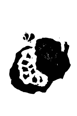 Passionfruit Sticker