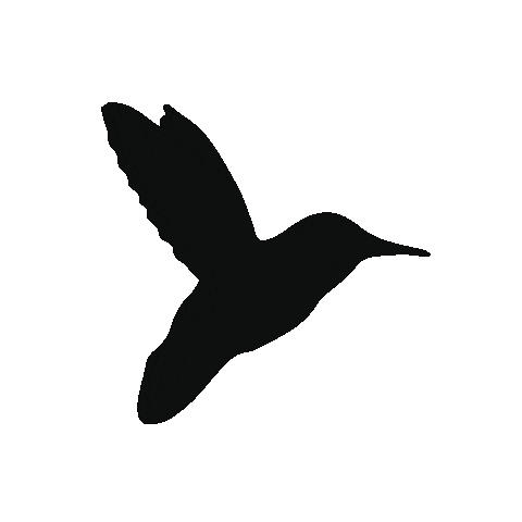 We are Hummingbird Sticker