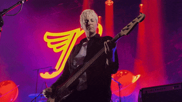 Live Music Bass GIF by PIXIES