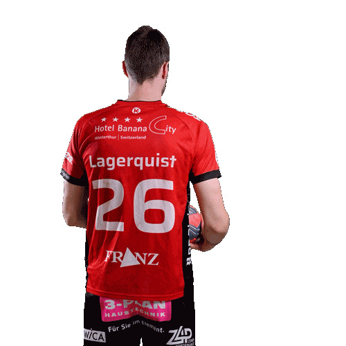 Pfadi Winterthur Handball Sticker