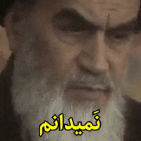I Dont Know Islamic Republic GIF