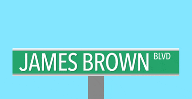 James Brown Singer GIF