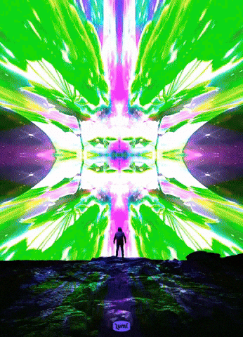 Giphy